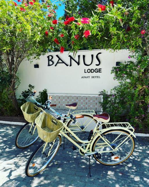 Banus Lodge Marbella Eksteriør bilde