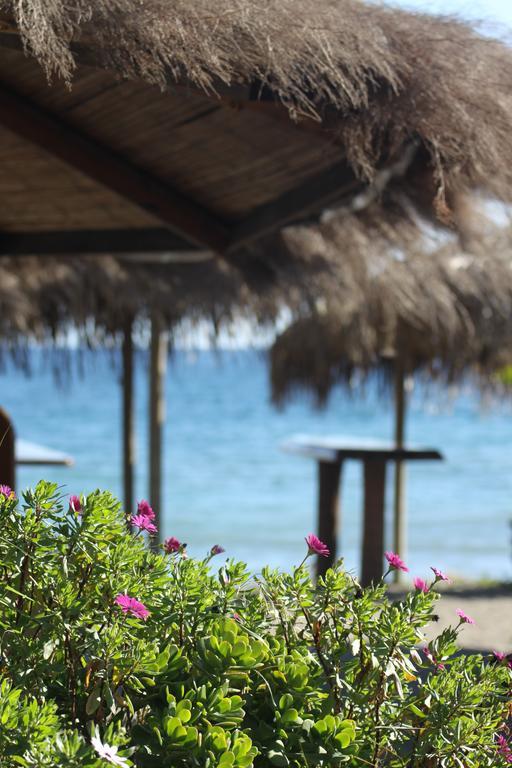 Banus Lodge Marbella Eksteriør bilde