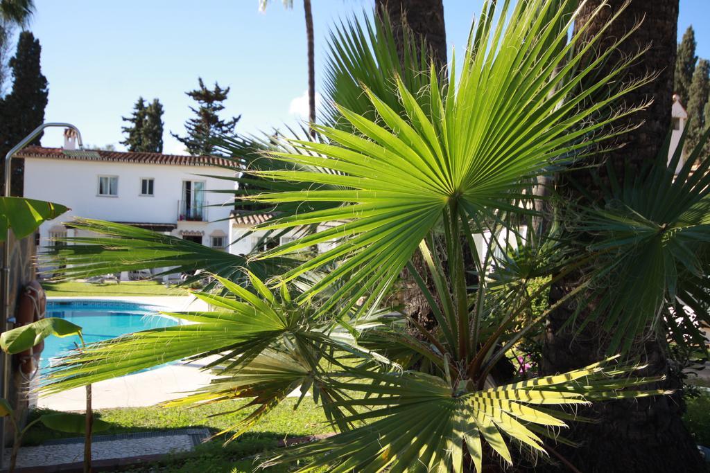 Banus Lodge Marbella Eksteriør bilde