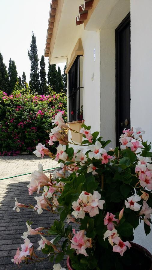 Banus Lodge Marbella Eksteriør bilde